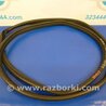 ФОТО Уплотнитель двери для Acura RDX TB3, TB4 (03.2012-12.2015) Киев