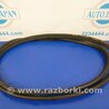 ФОТО Уплотнитель двери для Acura RDX TB3, TB4 (03.2012-12.2015) Киев