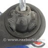 ФОТО Рычаг передний нижний для Lexus RX300/330/350/400 (03-09) Киев