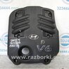 ФОТО Накладка двигателя декоративная  для Hyundai Santa Fe CM (05-12) Киев