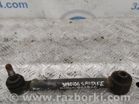 ФОТО Рычаг задний нижний поперечный для Hyundai Santa Fe CM (05-12) Киев