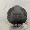 ФОТО Крышка расширительного бачка для Hyundai Santa Fe CM (05-12) Киев