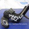 ФОТО Петля двери нижняя для Acura TSX CL9 (01.2003-02.2008) Киев