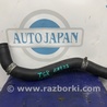 ФОТО Патрубок системы охлаждения для Acura TSX CU2 (03.2008-05.2014) Киев