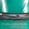 ФОТО Пластик под лобовое стекло (Жабо) для Dodge Journey (2011-2020) Киев