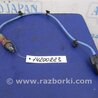 ФОТО Лямбда зонд для Acura MDX YD2 (2006-2012) Киев