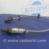 ФОТО Лямбда зонд для Acura RDX TB3, TB4 (03.2012-12.2015) Киев