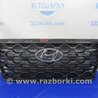ФОТО Решетка радиатора для Hyundai Santa Fe TM Киев
