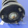 ФОТО Амортизатор для Acura TSX CL9 (01.2003-02.2008) Киев
