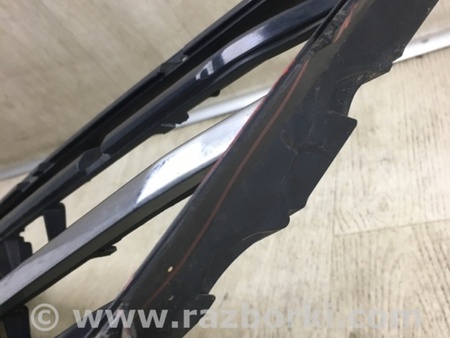 ФОТО Решетка радиатора для Honda Accord Coupe (07-12) Киев