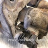 ФОТО Суппорт для Lexus RX350/450 (09-15) Киев