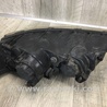 ФОТО Фара для Hyundai Sonata NF (09.2004-10.2010) Киев