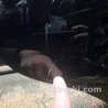ФОТО Двері задні праві для Toyota RAV-4 (05-12) Киев