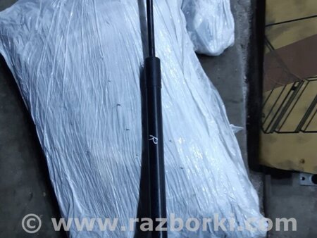 ФОТО Амортизатор двери багажника для Acura RDX TB4 USA (15-19) Київ