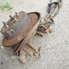 ФОТО Цапфа задняя для Subaru Outback Киев