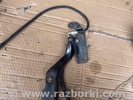 ФОТО Петли капота для Subaru Tribeca Киев