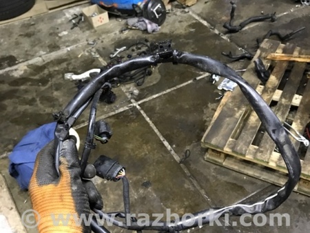 ФОТО Электропроводка для Audi (Ауди) A3 III 8V (12-20) Київ