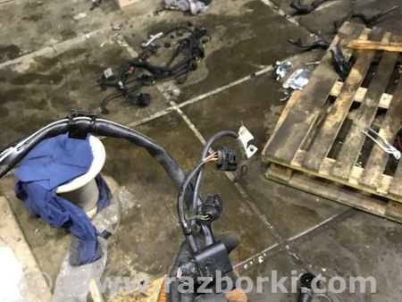 ФОТО Электропроводка для Audi (Ауди) A3 III 8V (12-20) Київ