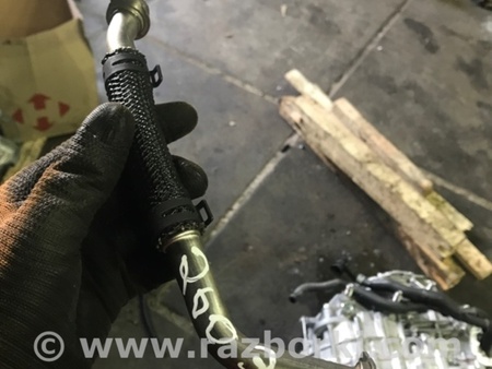 ФОТО Патрубок системы охлаждения для Audi (Ауди) A3 III 8V (12-20) Київ