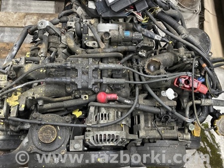 ФОТО Коллектор впускной для Subaru Forester SG Киев
