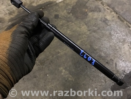 ФОТО Амортизатор крышки багажника для Audi (Ауди) A3 III 8V (12-20) Київ