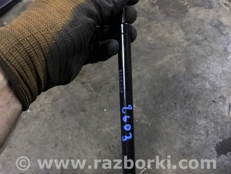 ФОТО Амортизатор крышки багажника для Audi (Ауди) A3 III 8V (12-20) Київ