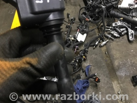 ФОТО Катушка зажигания для Audi (Ауди) A4 V B9 - 8W (2015-) Київ