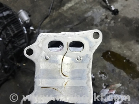 ФОТО Радиатор масляный для Audi (Ауди) A4 V B9 - 8W (2015-) Київ