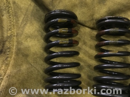 ФОТО Пружина клапана выпускного для Audi (Ауди) A3 III 8V (12-20) Київ