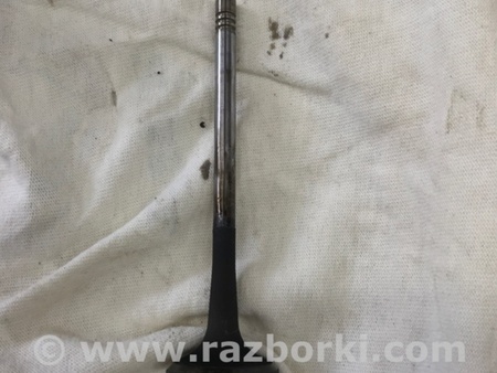 ФОТО Клапан выпускной для Audi (Ауди) A3 III 8V (12-20) Київ