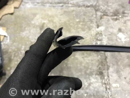 ФОТО Уплотнитель стекла двери для Infiniti QX50 II II P71A (17-25) Київ