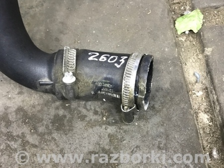 ФОТО Патрубок интеркулера для Audi (Ауди) A3 III 8V (12-20) Київ