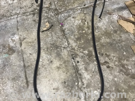 ФОТО Уплотнительная резинка боковой двери для Infiniti QX50 II II P71A (17-25) Київ