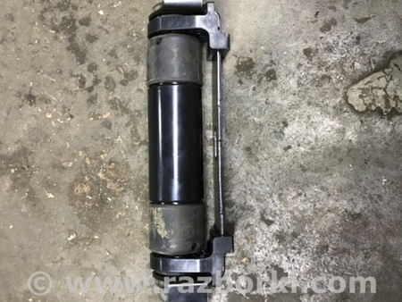 ФОТО Амортизатор двери багажника для Audi (Ауди) Q3 II F3 (18-25) Київ