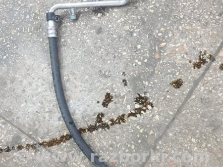 ФОТО Шланг кондиционера для Subaru Forester SG Киев