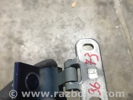 ФОТО Петля крышки багажника для Audi (Ауди) Q3 II F3 (18-25) Київ