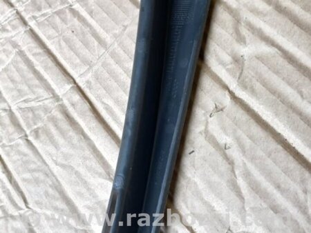 ФОТО Накладка в салоне для Audi (Ауди) A4 V B9 - 8W (2015-) Київ