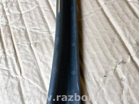 ФОТО Накладка в салоне для Audi (Ауди) A4 V B9 - 8W (2015-) Київ