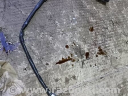 ФОТО Датчик для Audi (Ауди) A4 V B9 - 8W (2015-) Київ