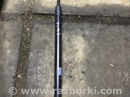 ФОТО Амортизатор двери багажника для Volkswagen Atlas/Teramont I +1 рест (17-23) Київ