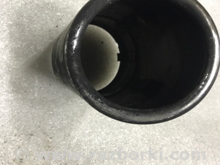 ФОТО Насадка на глушитель для Audi (Ауди) A3 III 8V (12-20) Київ