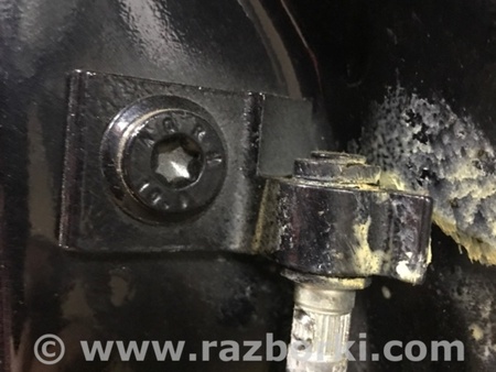 ФОТО Петля двери для Audi (Ауди) A4 V B9 - 8W (2015-) Київ