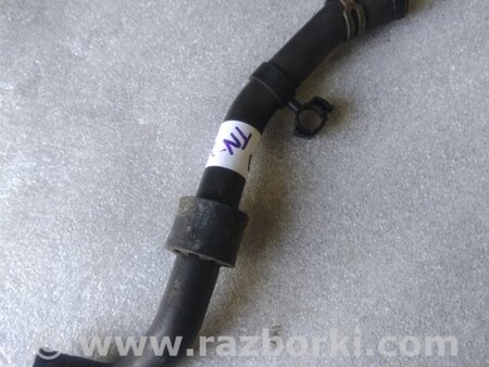 ФОТО Патрубок системы охлаждения для Audi (Ауди) A3 III 8V (12-20) Київ