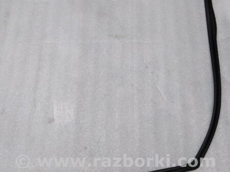 ФОТО Уплотнитель стекла двери для Acura RDX TB4 USA (15-19) Київ