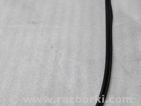 ФОТО Уплотнитель стекла двери для Acura RDX TB4 USA (15-19) Київ
