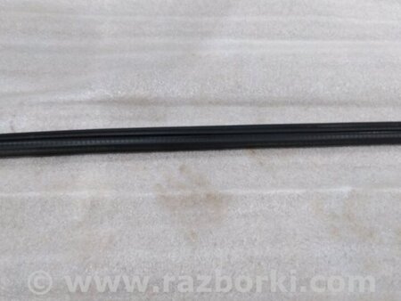 ФОТО Уплотнитель стекла двери для Audi (Ауди) A4 V B9 - 8W (2015-) Київ