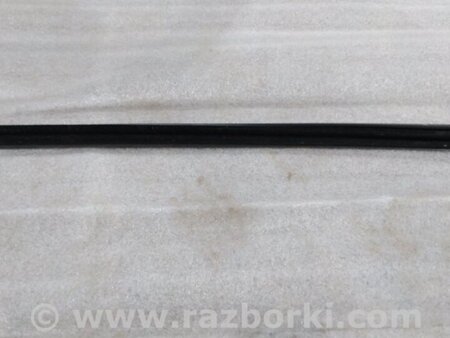 ФОТО Уплотнитель стекла двери для Audi (Ауди) A4 V B9 - 8W (2015-) Київ