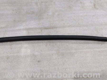 ФОТО Уплотнитель стекла двери для Audi (Ауди) A4 V B9 - 8W (2015-) Київ