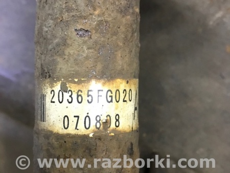 ФОТО Амортизатор задний для Subaru Impreza GD/GG Киев