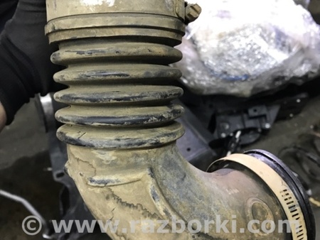 ФОТО Патрубок для Subaru Forester SG Киев